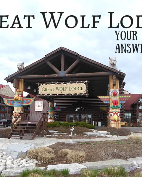 Great Wolf Lodge Niagara Falls – Your Questions Answered