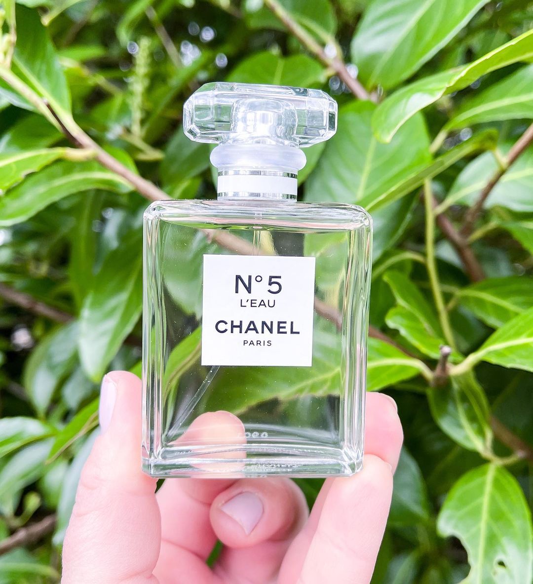 chanel no 5