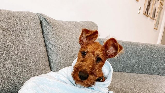 Stopping the Common Cold Before It Starts