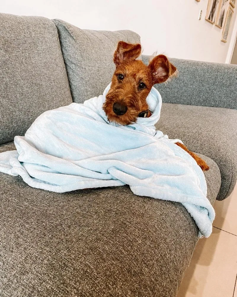 Stopping the Common Cold Before It Starts