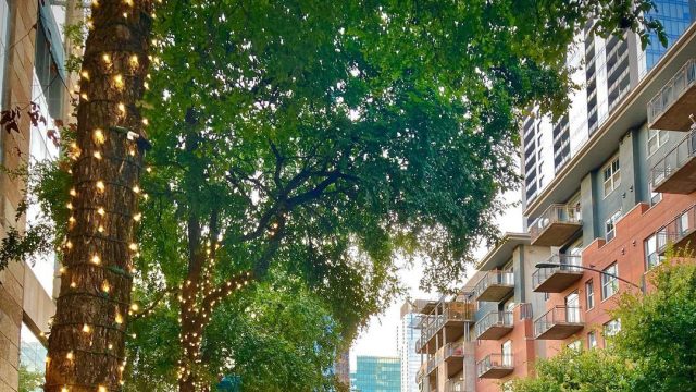 Long Weekend in Austin : What We Expected?