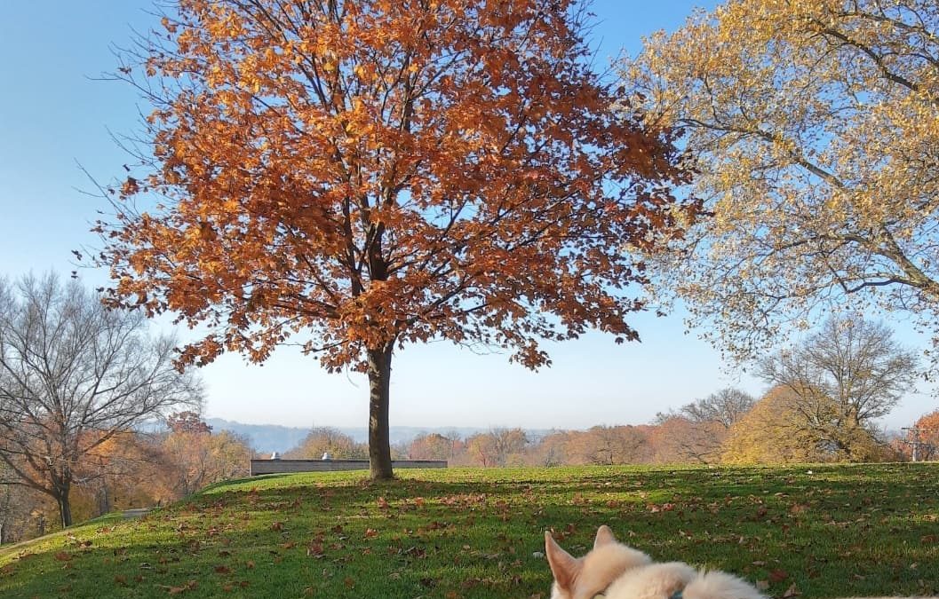 5 Reasons to Get Outside Today