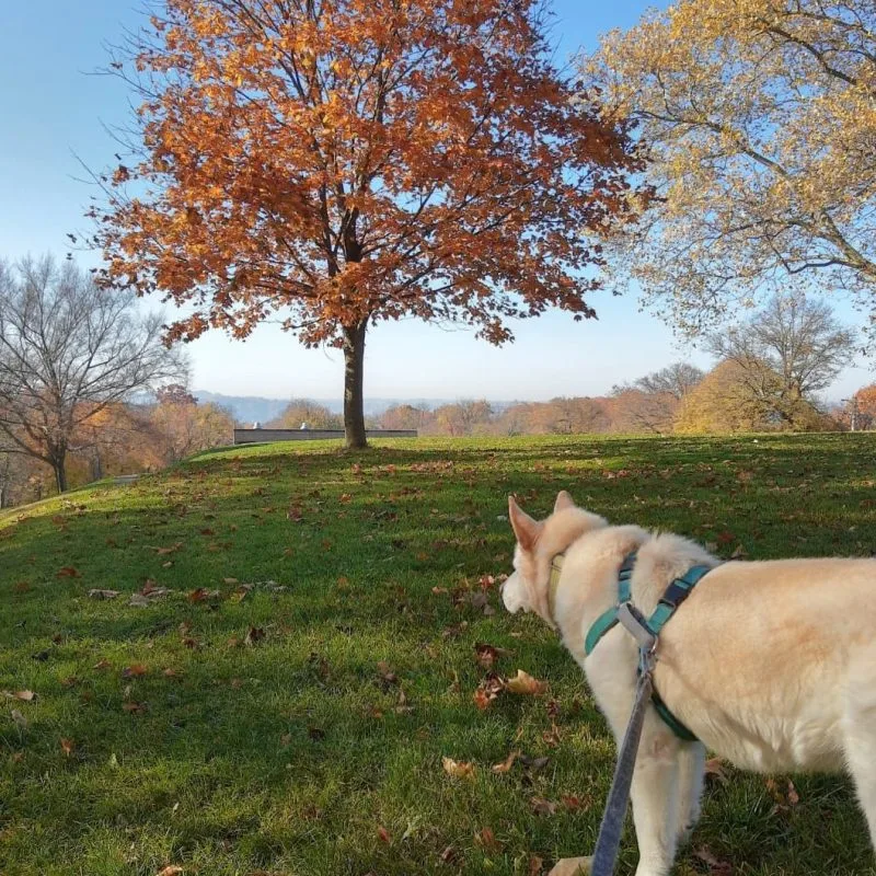 5 Reasons to Get Outside Today