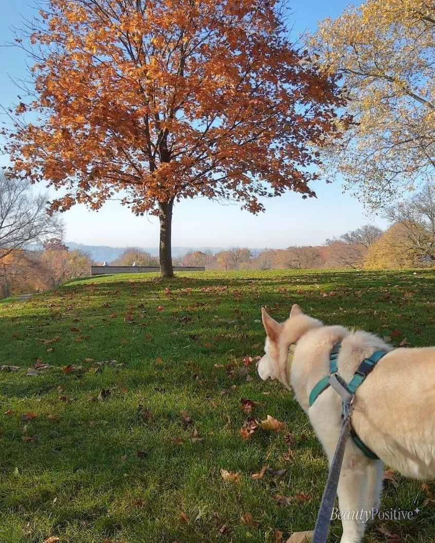 5 Reasons to Get Outside Today