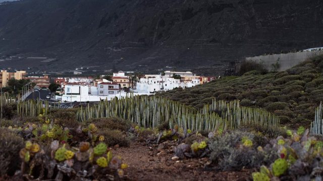 Island Cityscapes of Tenerife