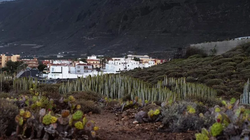 Island Cityscapes of Tenerife