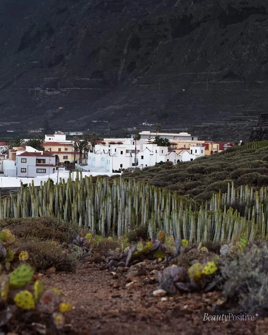 Island Cityscapes of Tenerife