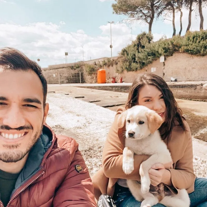 Everything You Need Before Bringing a Pup Home