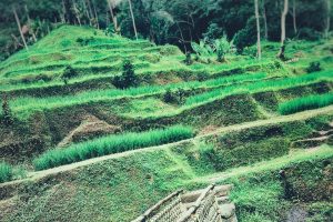 5 Peace Inhibitors & Mindfulness Misconceptions
