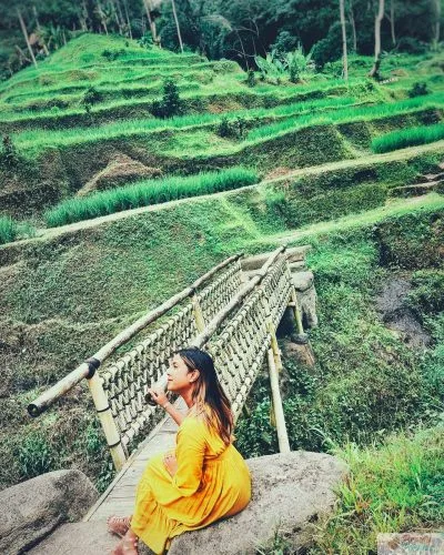 5 Peace Inhibitors & Mindfulness Misconceptions