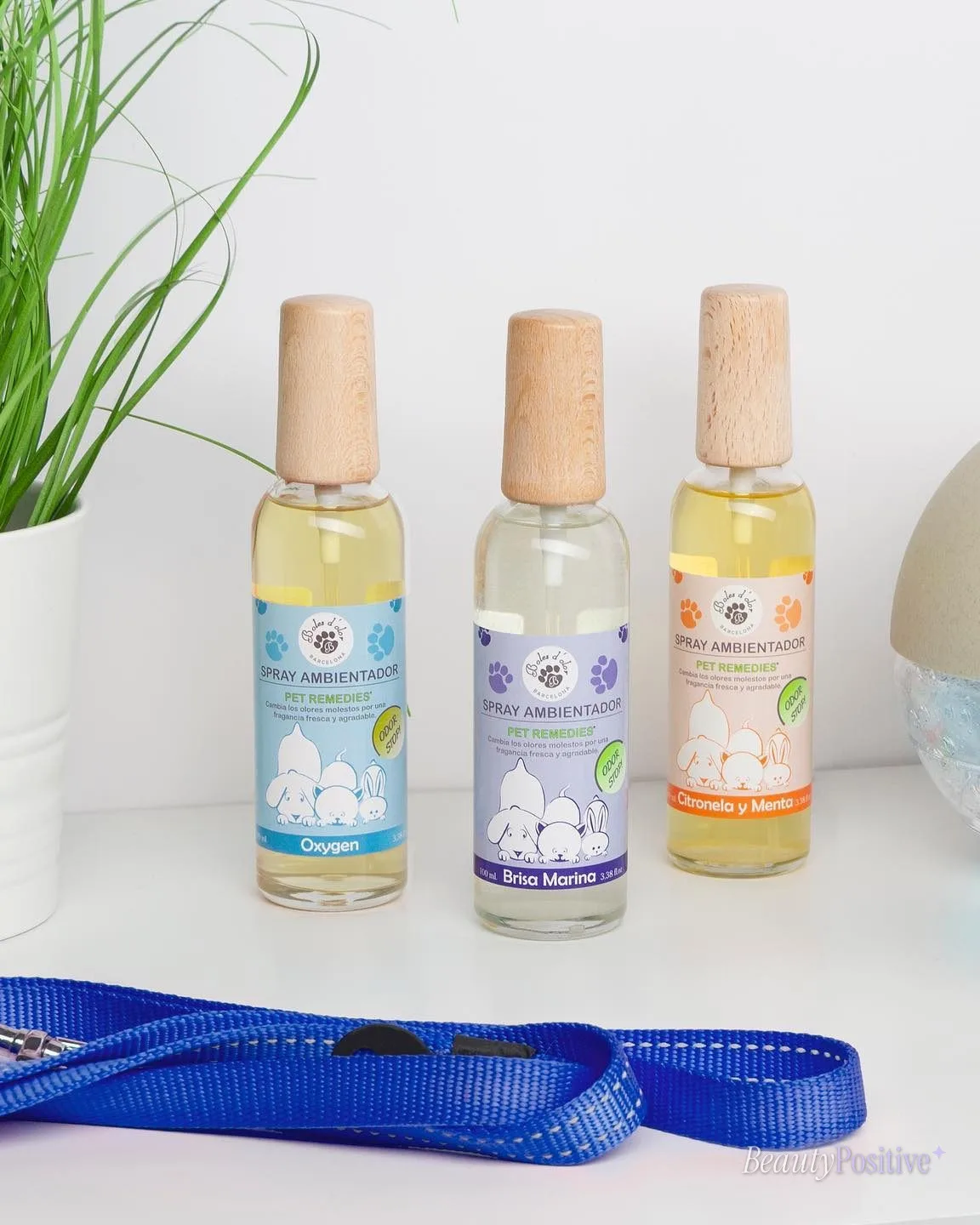 Home Pet Remedies For Your Pup