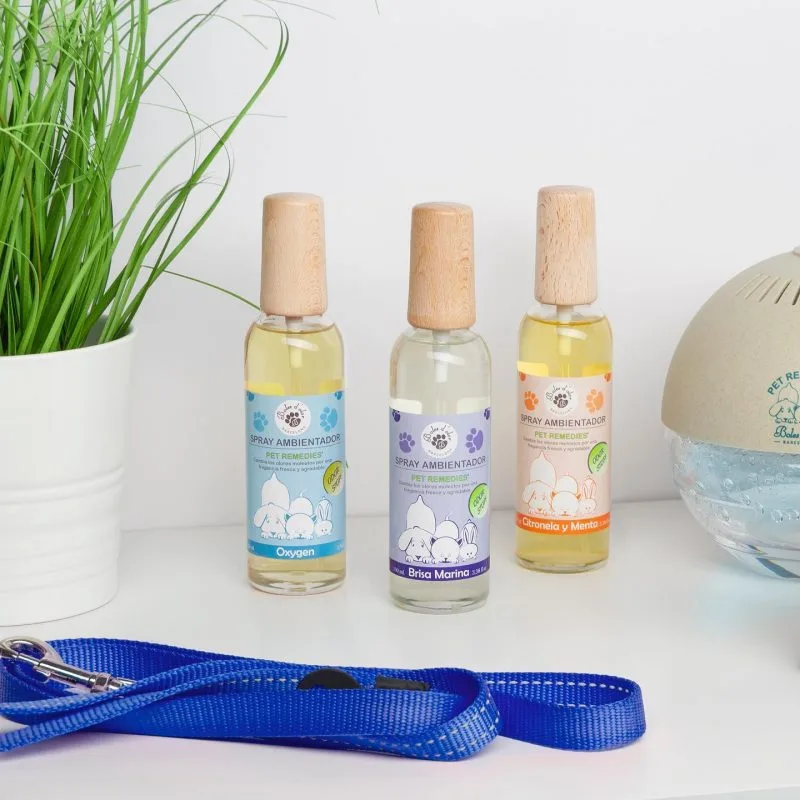Home Pet Remedies For Your Pup