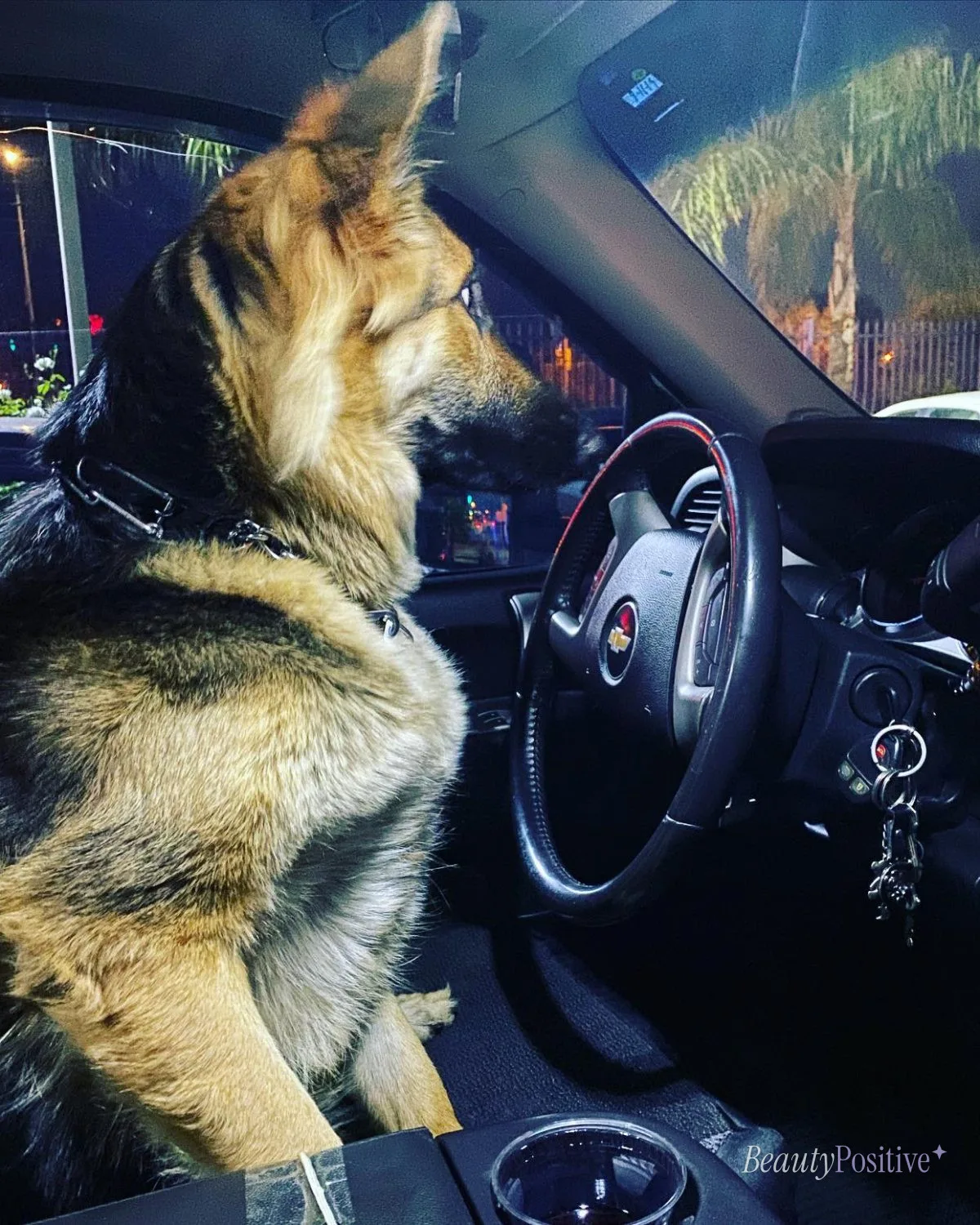 Making Money on the Side with Uber