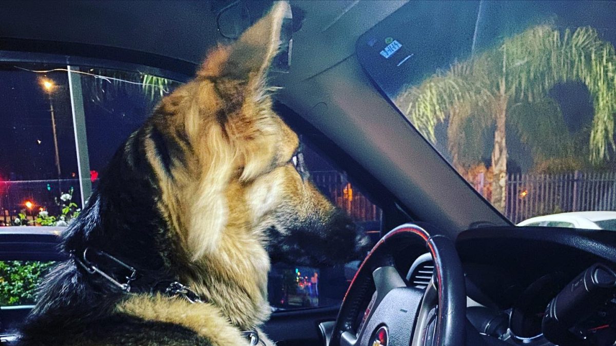 Making Money on the Side with Uber