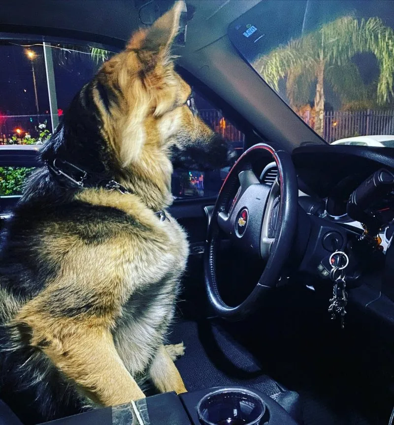 Making Money on the Side with Uber