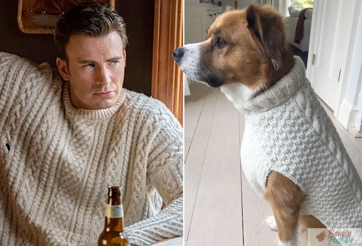  Chris Evans and his dog