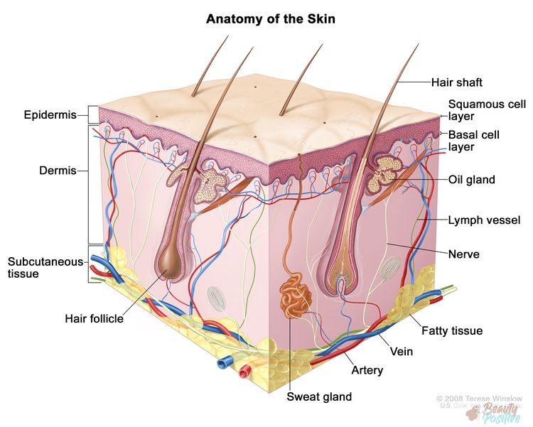 skin cancer symptoms